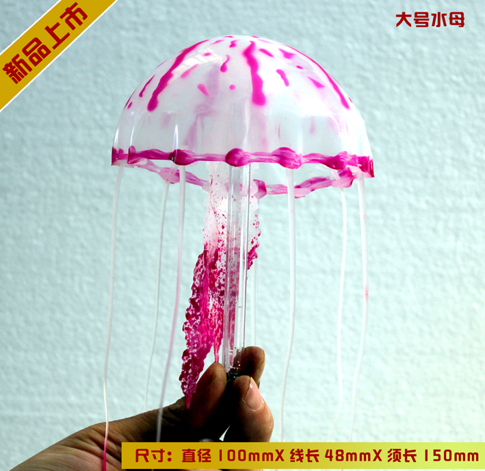 大號(hào)水母