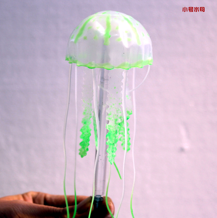 小號水母1