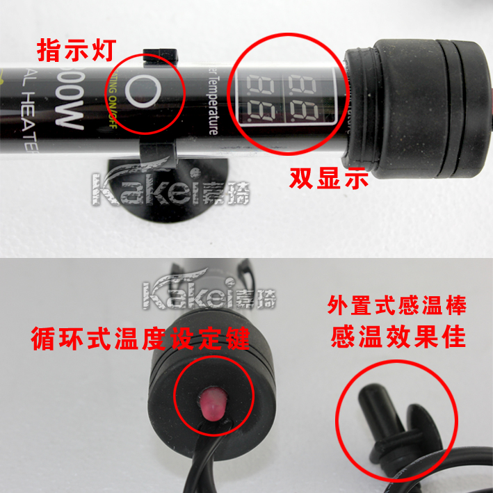 宗洋300W1