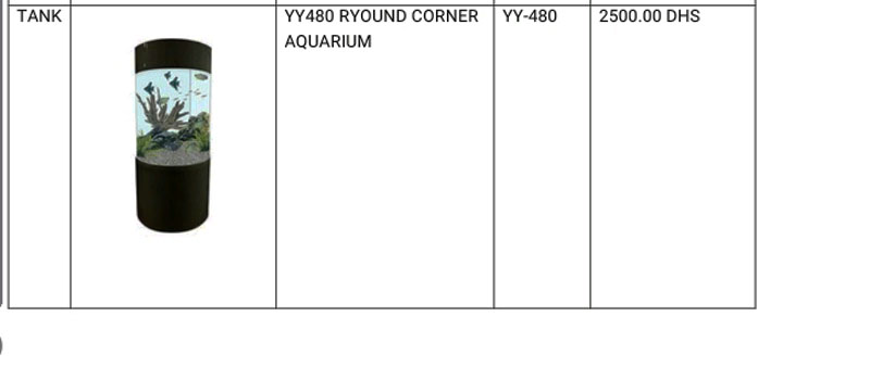 W YY 480 PS